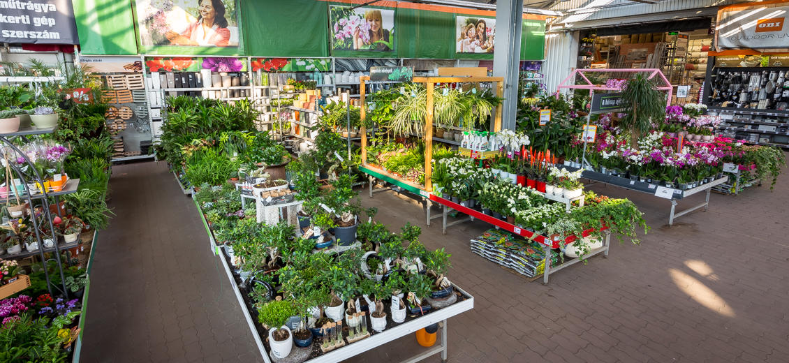 Images OBI Kertészet Miskolc