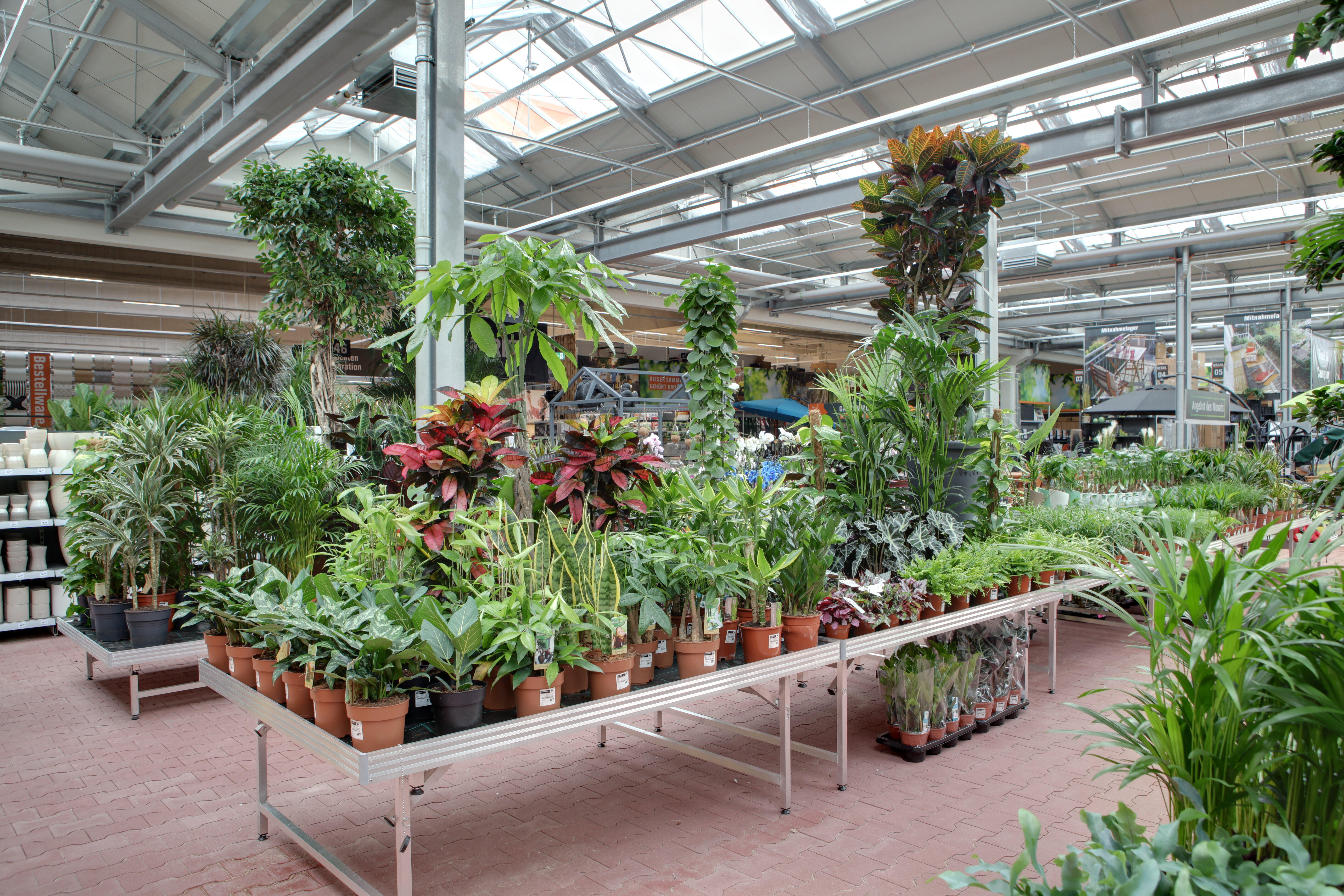 Bilder OBI Gartencenter Limburg