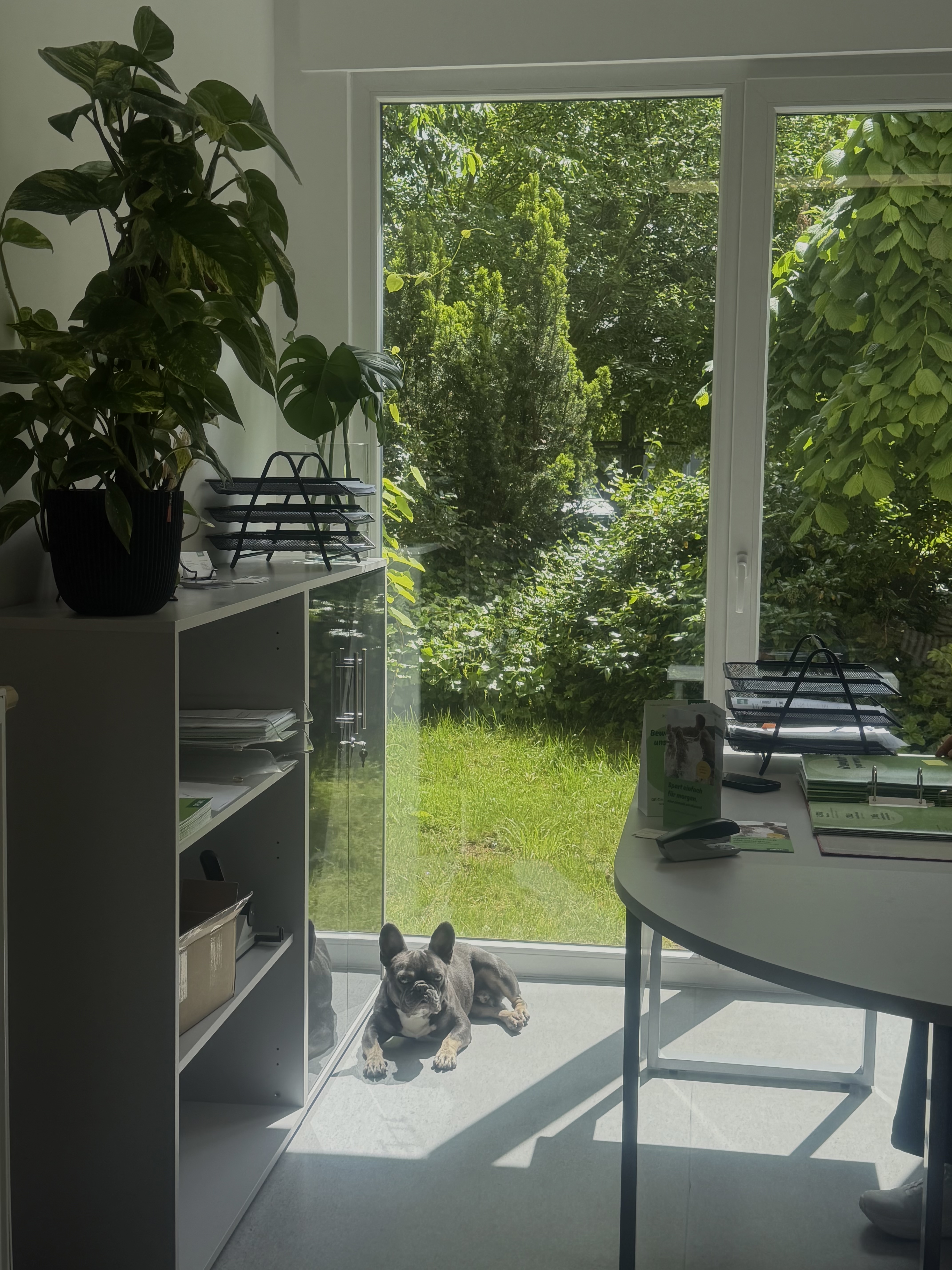 DEVK Versicherungen: Jérome Gaudot, Berliner Allee 8 in Aschaffenburg