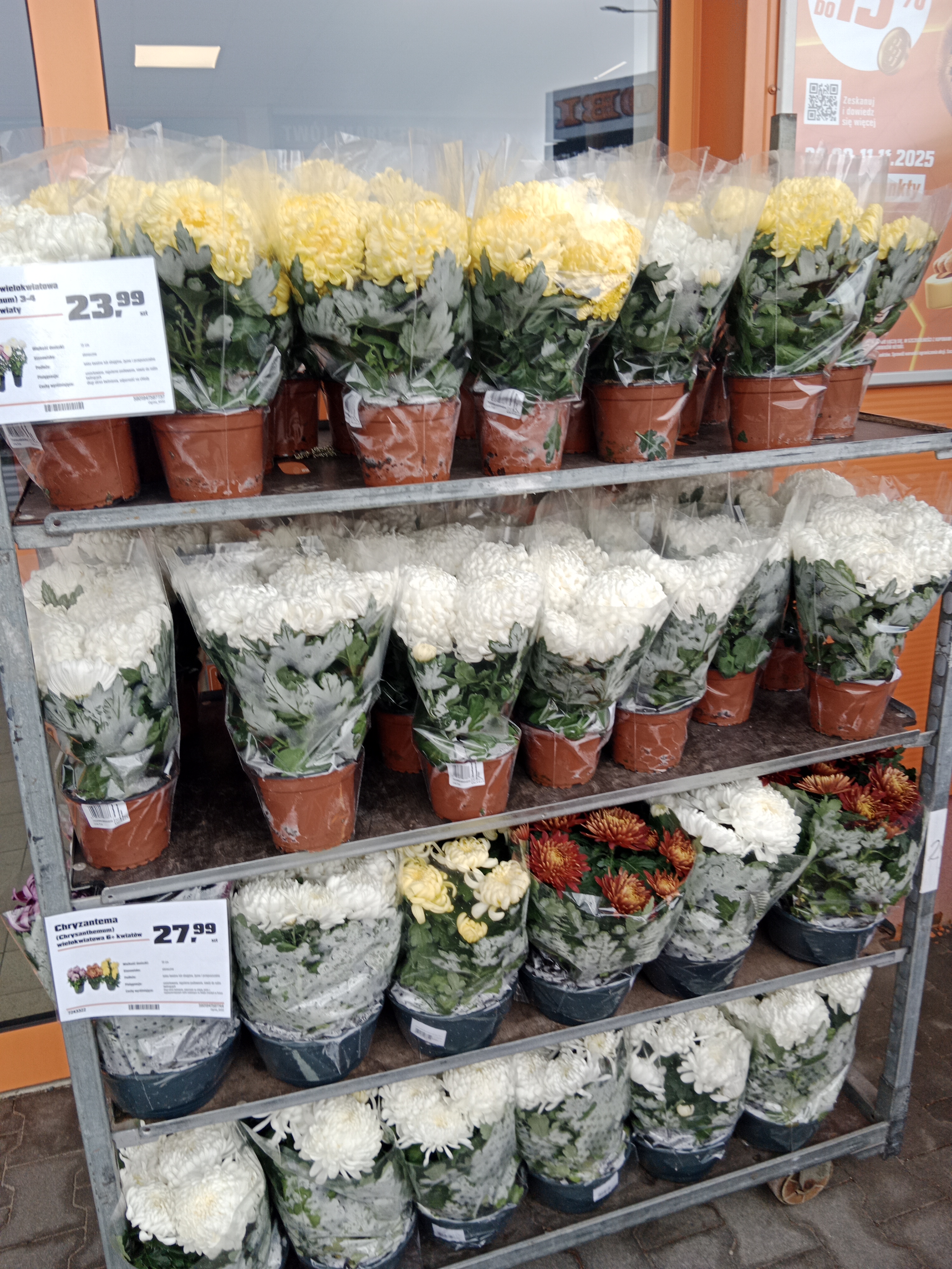 Images OBI Lipienice k. Chojnic