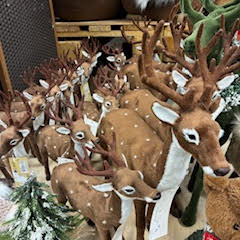 Images OBI Łódź Rokicińska