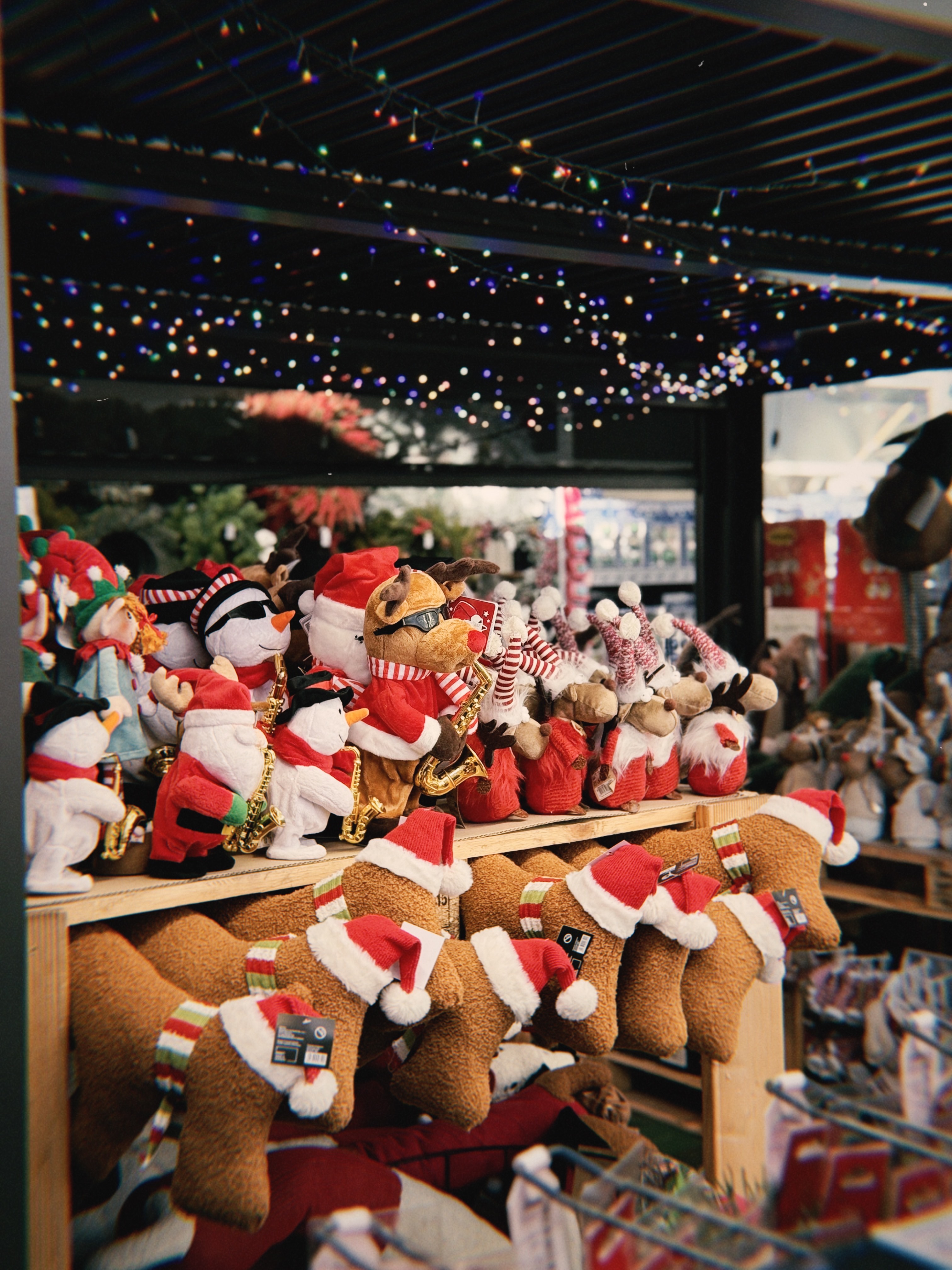 Images OBI Wrocław Czekoladowa