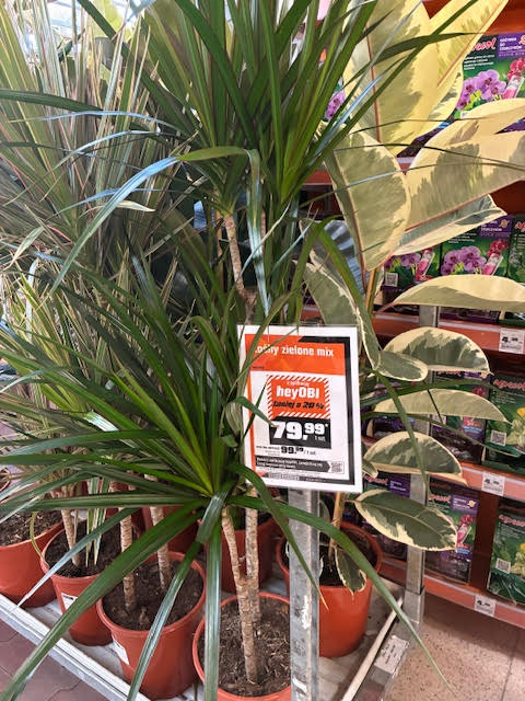 Images OBI Łódź Rokicińska