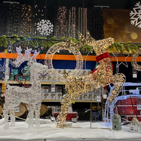 Images OBI Łódź Rokicińska