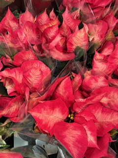 Images OBI Łódź Rokicińska