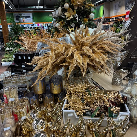 Images OBI Łódź Rokicińska