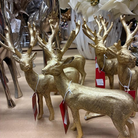 Images OBI Łódź Rokicińska