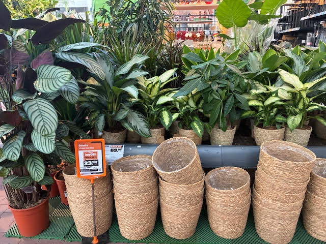 Images OBI Łódź Rokicińska