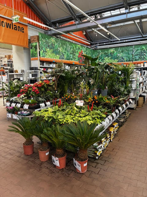 Images OBI Leszno