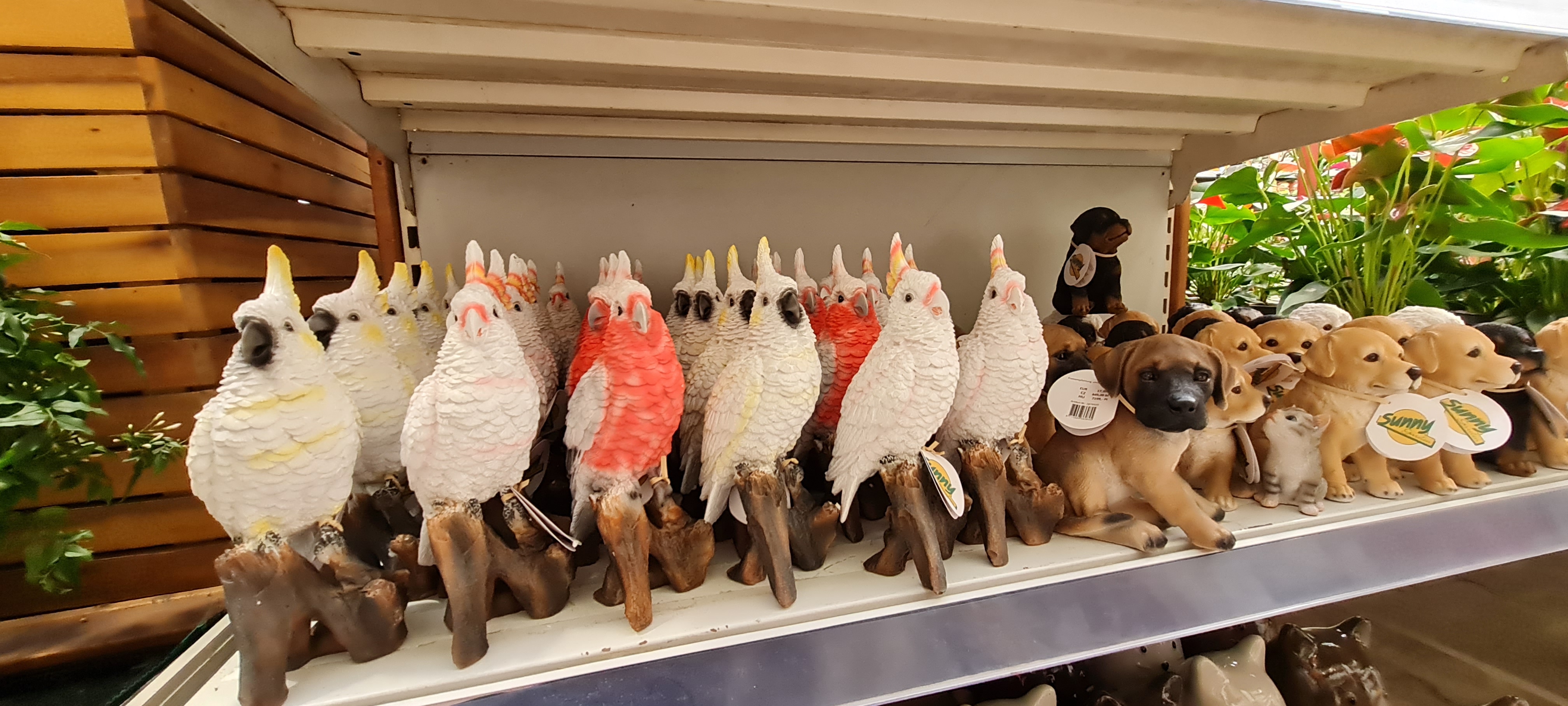 Images OBI áruház Szekszárd