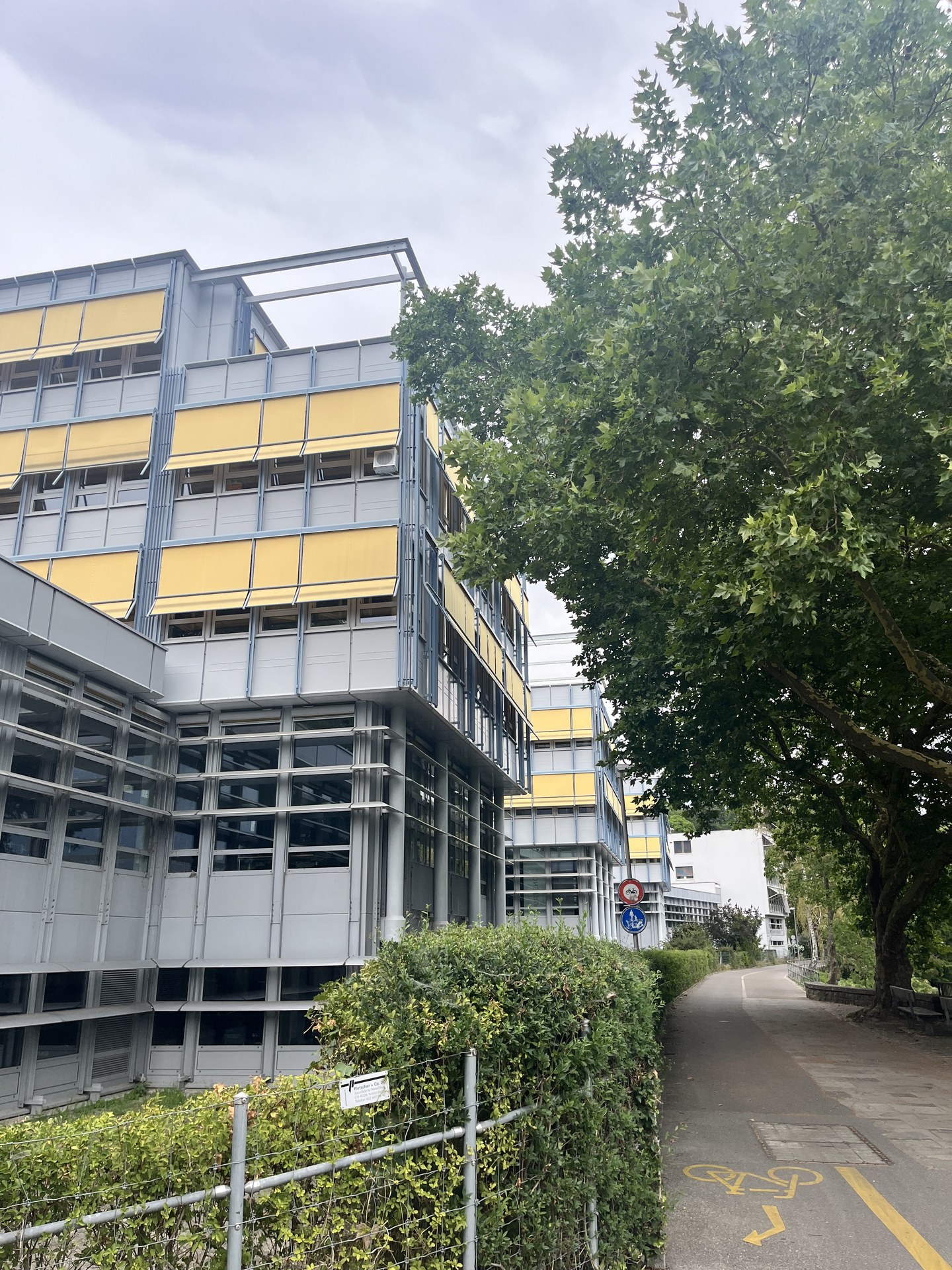 Galerie-Thumbnail