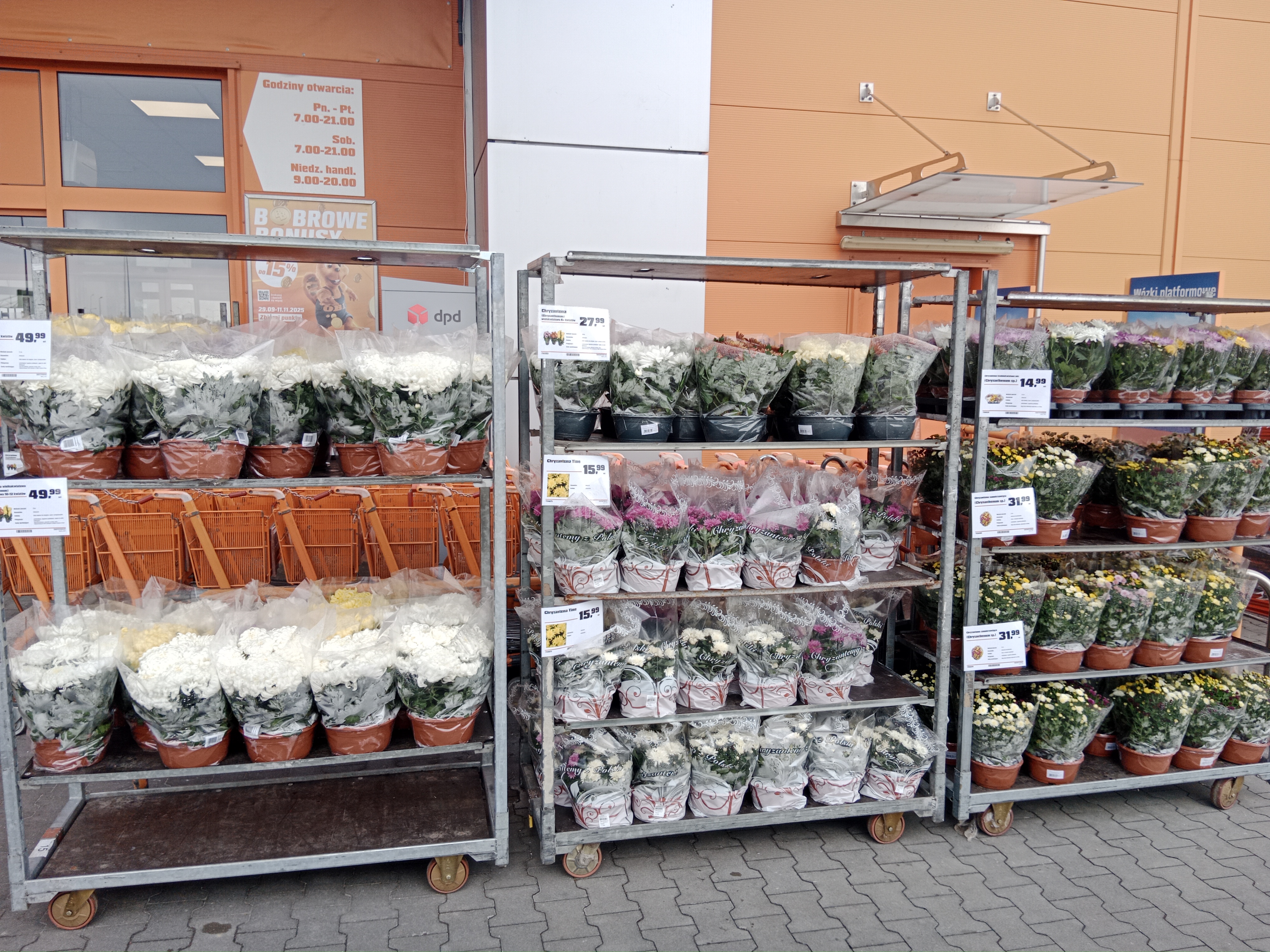 Images OBI Lipienice k. Chojnic