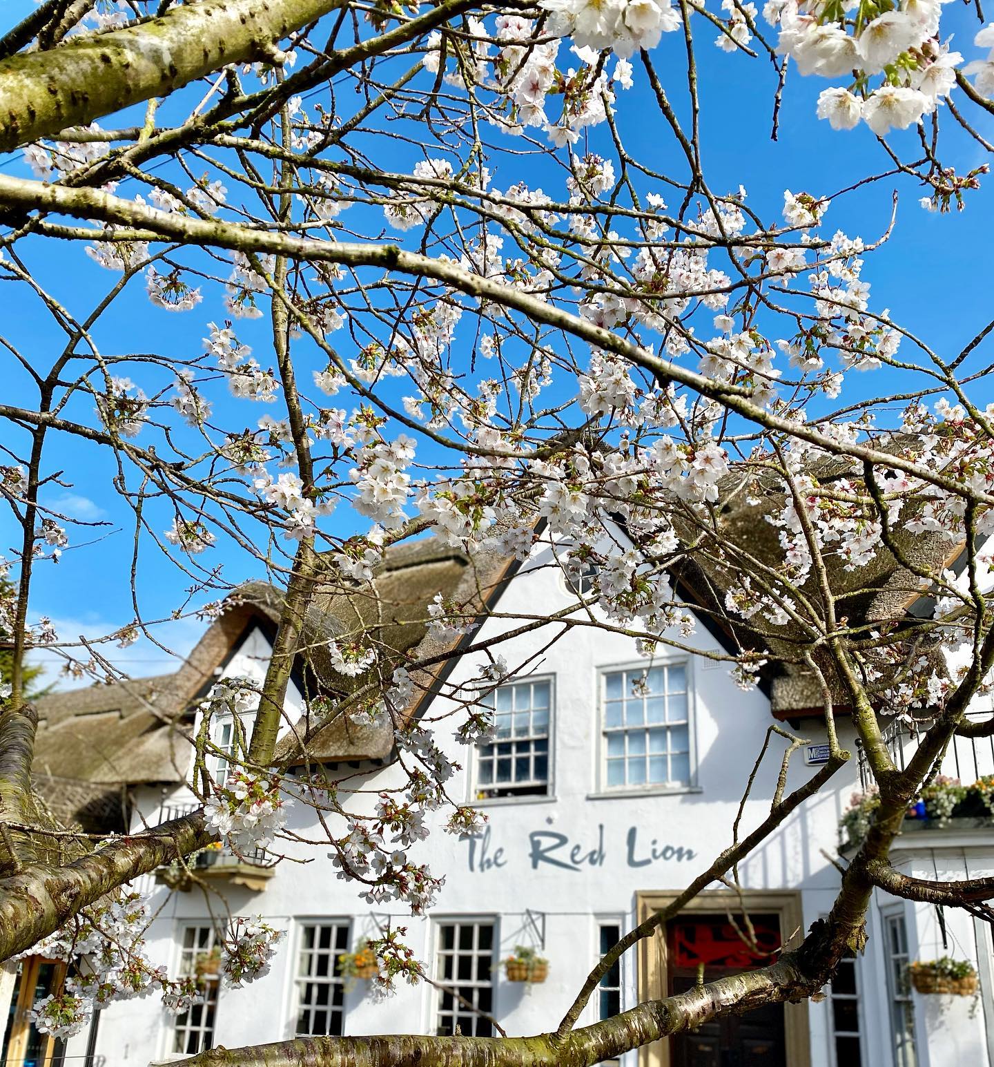 Red Lion Exterior