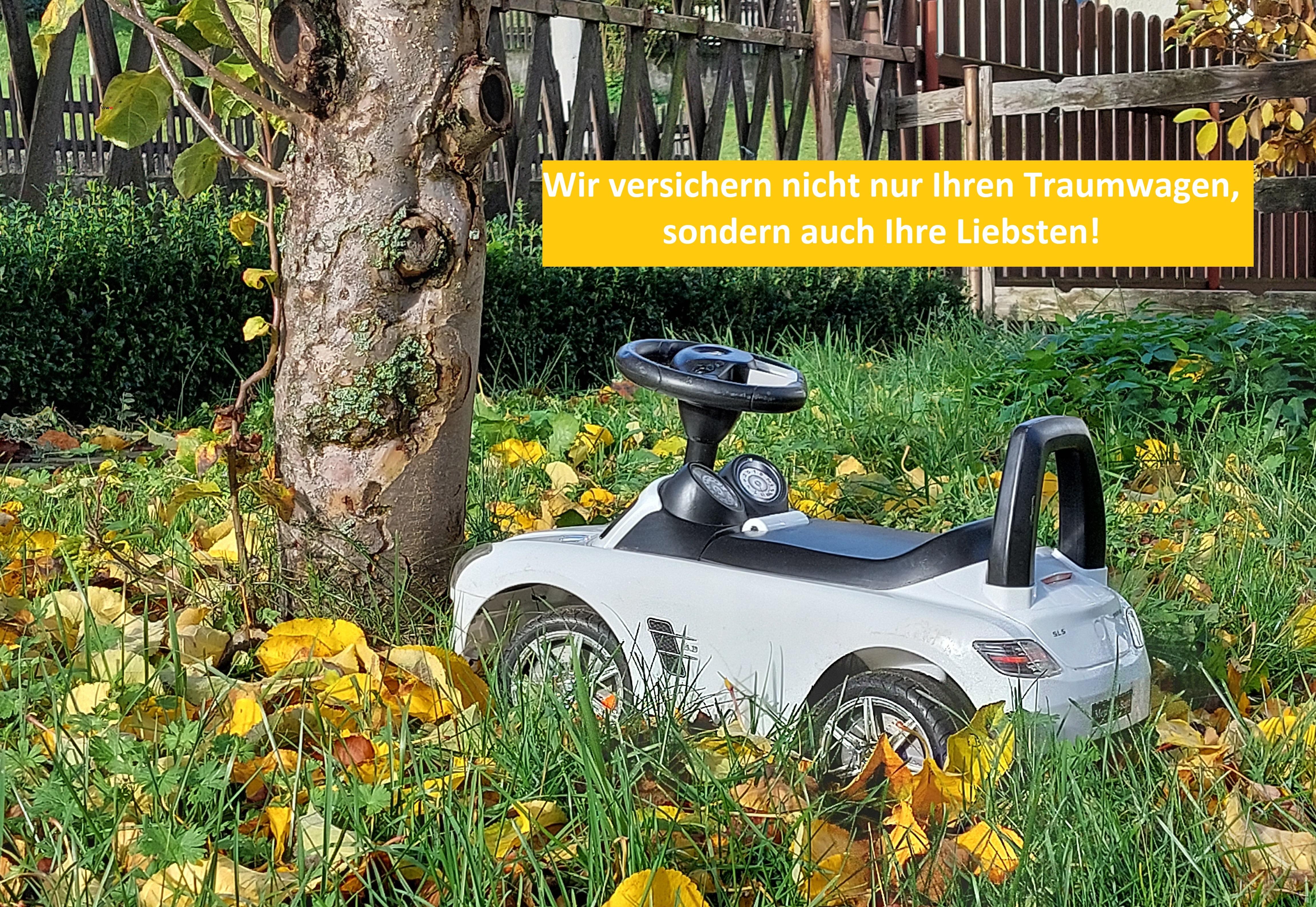 Bild 2 HUK-COBURG Versicherung Katrin Löwe in Marienberg in Marienberg