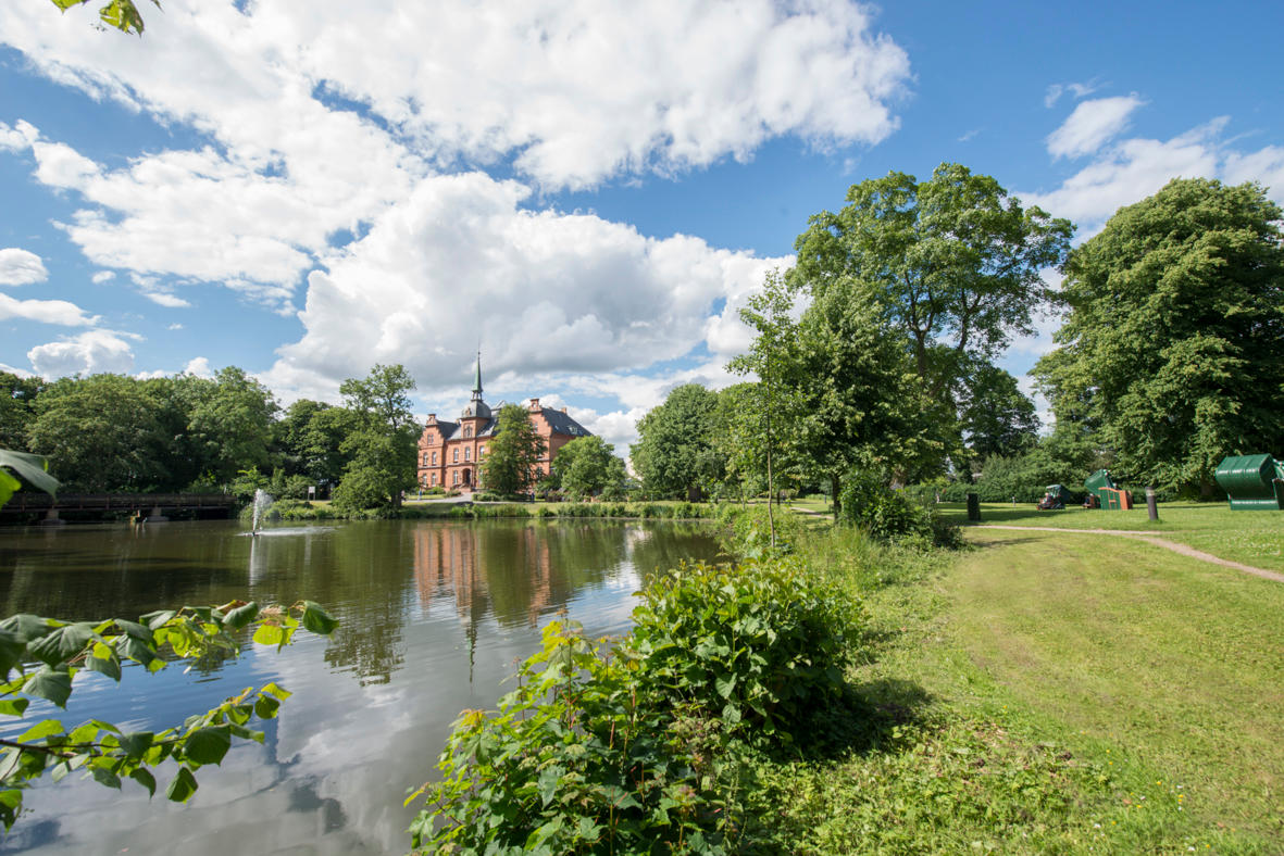 VAMED Rehaklinik Schloss Schönhagen in Brodersby bei Kappeln an der Schlei - Logo