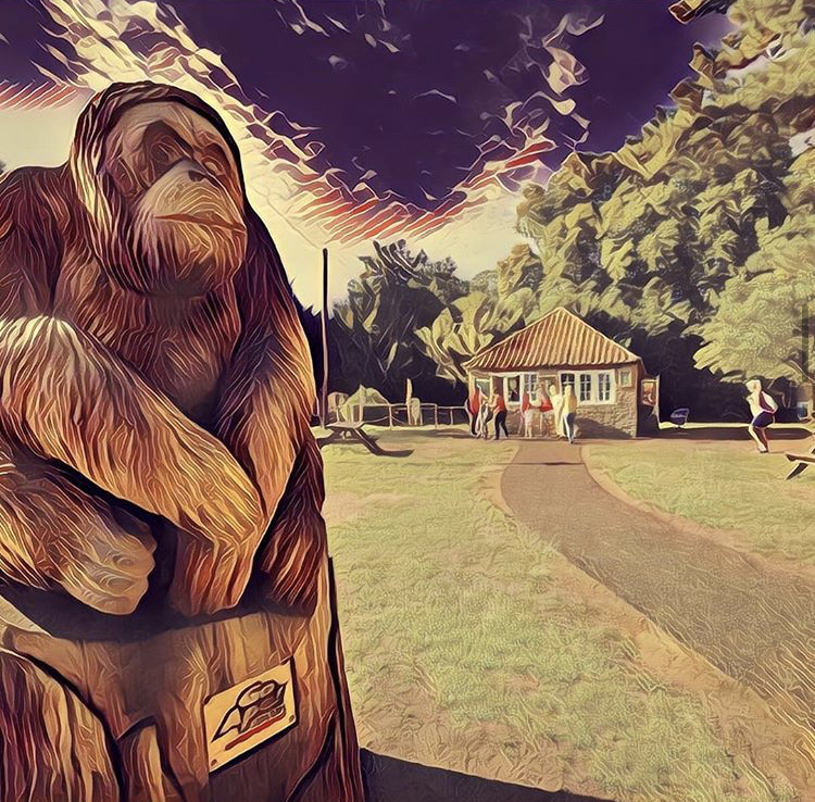 Gallery thumbnail