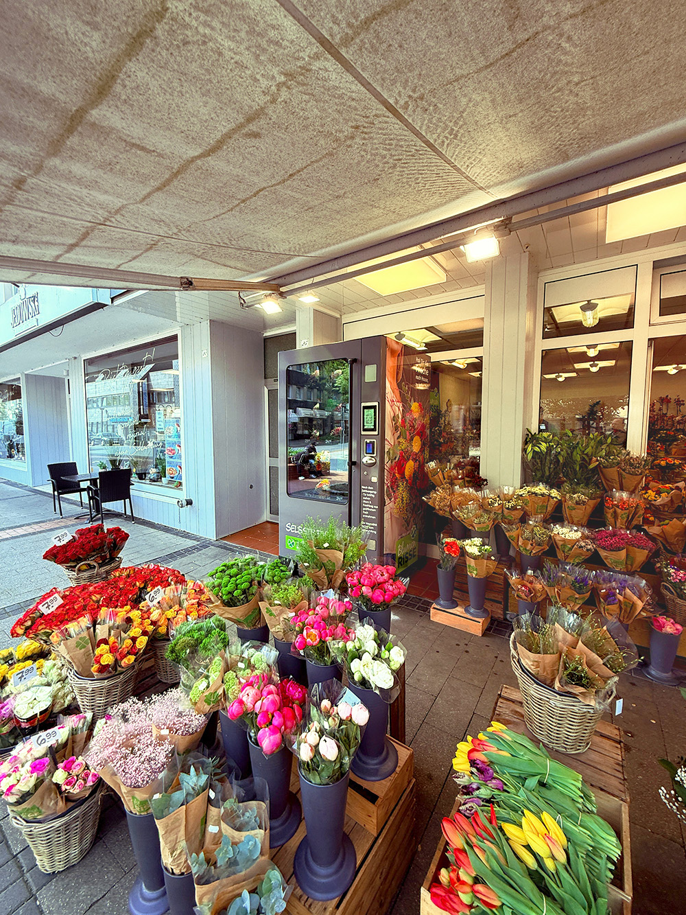 Bild 2 Blumen Risse Blumenladen Iserlohn-Letmathe in Iserlohn