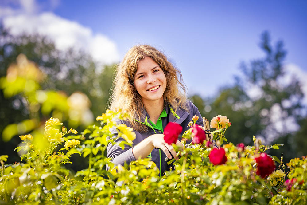 Bild 4 Blumen Risse Blumenmarkt Lüdinghausen in Lüdinghausen