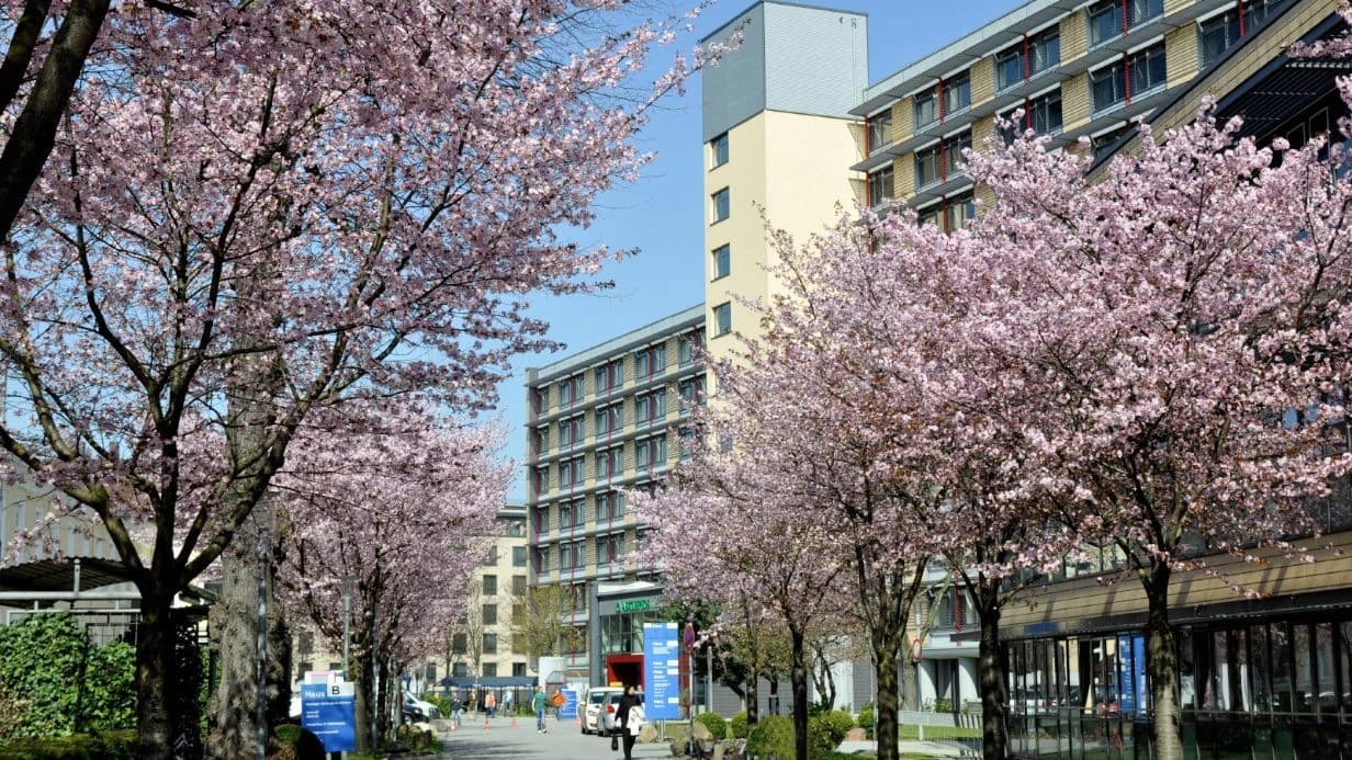 Asklepios MVZ St. Georg, Lohmühlenstraße 5 in Hamburg