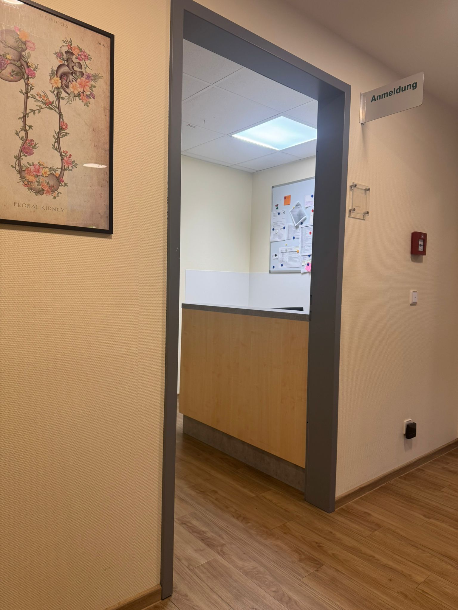 Bilder Medizinisches Versorgungszentrum Schwalm-Eder - Praxis für Gynäkologie und Geburtshilfe