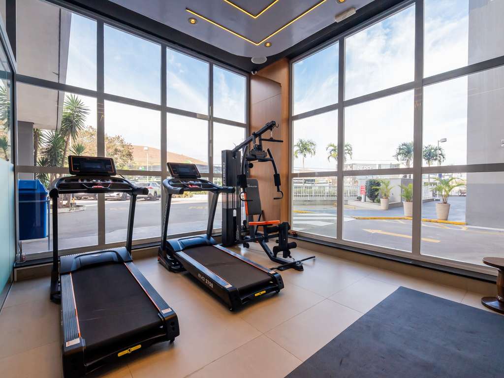 Images ibis Guaratingueta Aparecida