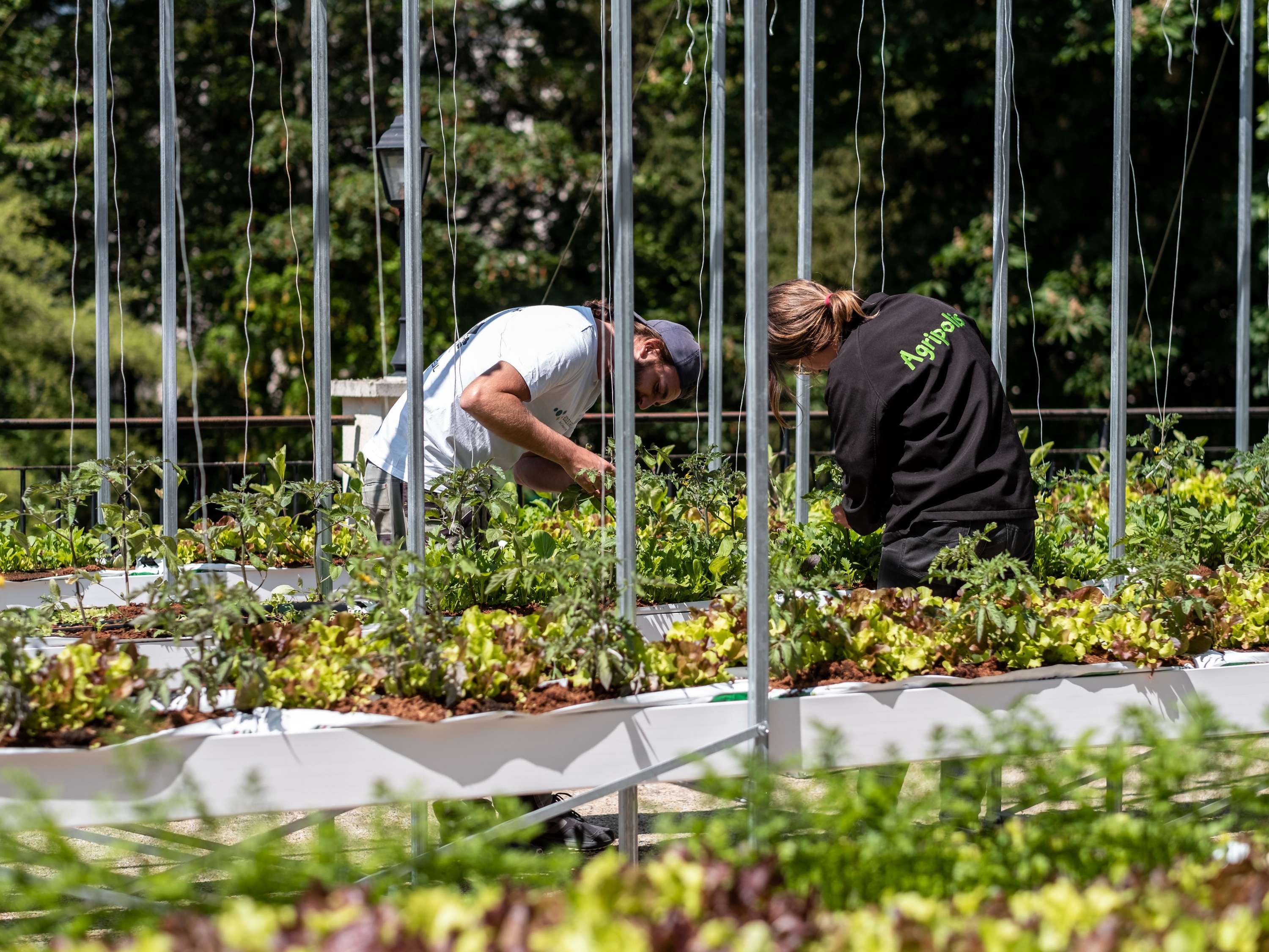 Images A l'Epicerie St Germain en Laye