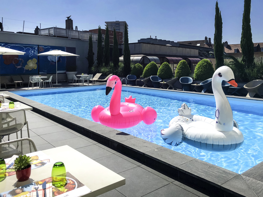 Miniature de la galerie