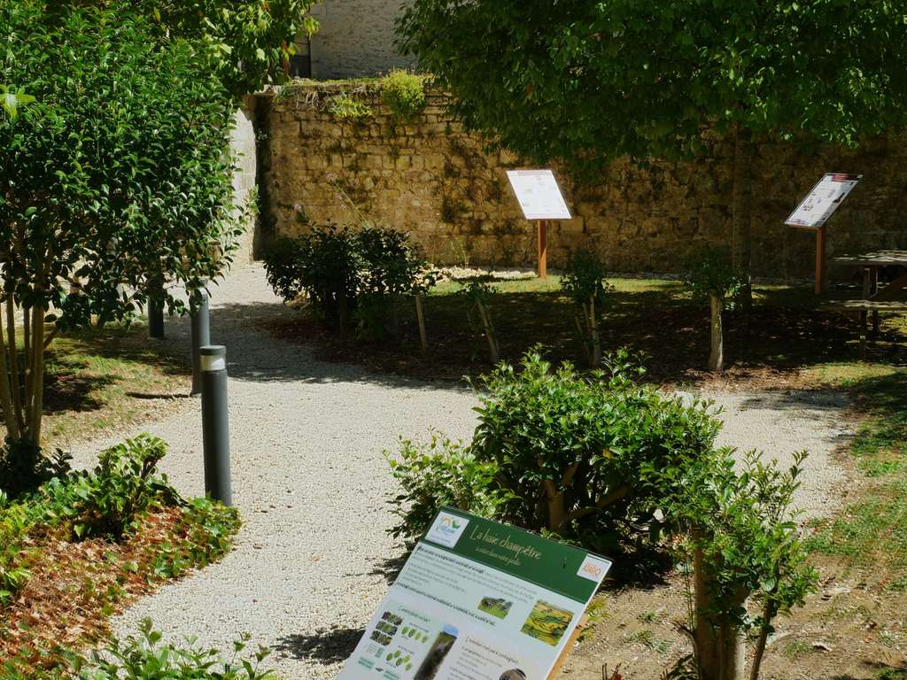 Miniature de la galerie