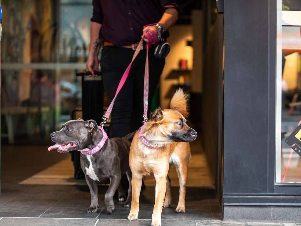 Images ibis Styles Melbourne Southbank