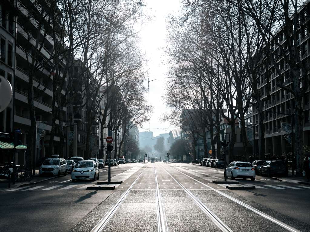 galerie image
