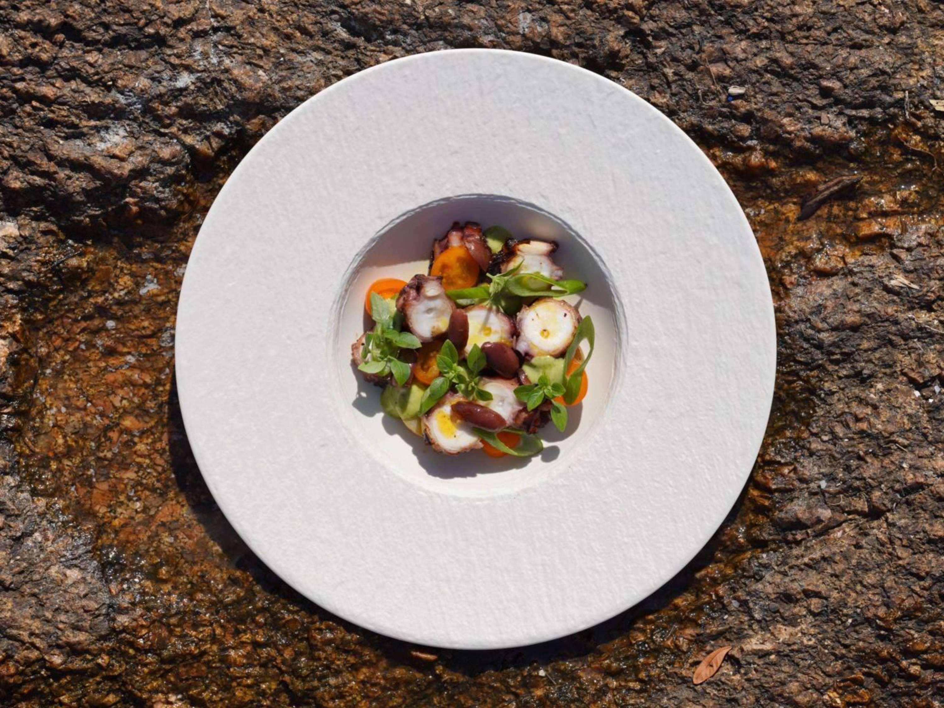 Une création du Chef Nicolas Sintes sublimant les produits de saison dans une assiette élégante, à découvrir à La Table de la Pointe.