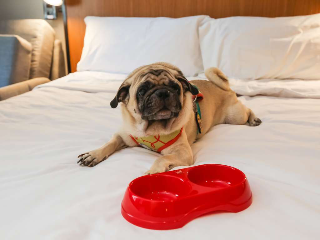 Images ibis Copacabana Posto 2