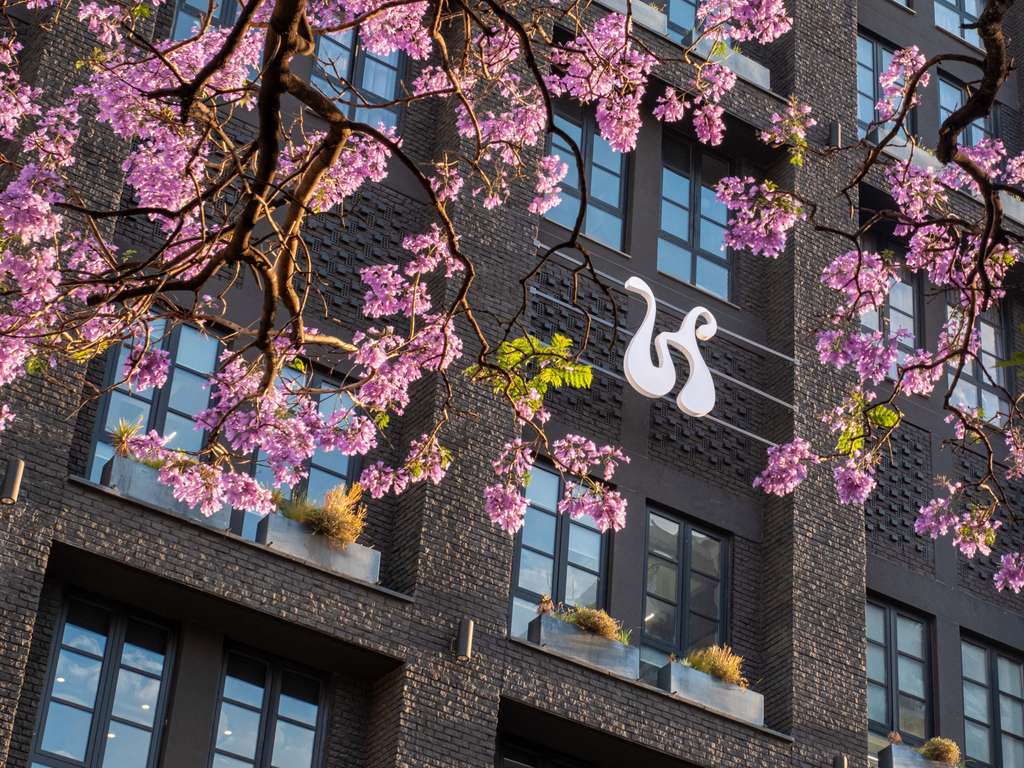 Images Hyde Johannesburg Rosebank