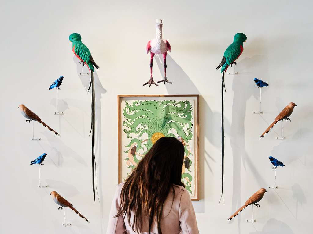 Gallery thumbnail