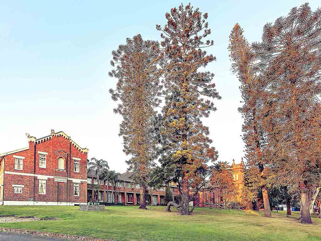 Images Mercure Maitland Monte Pio