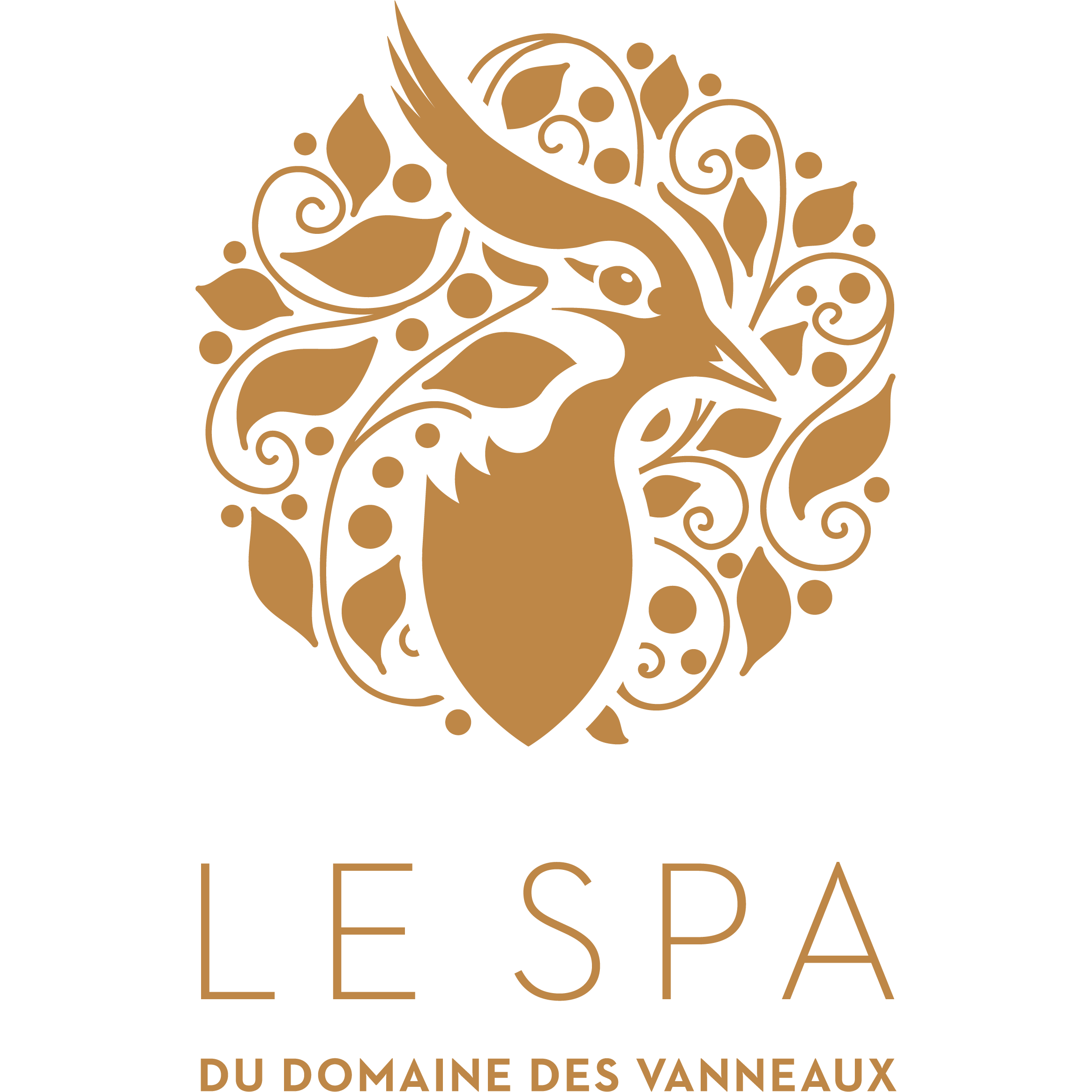 Spa spa