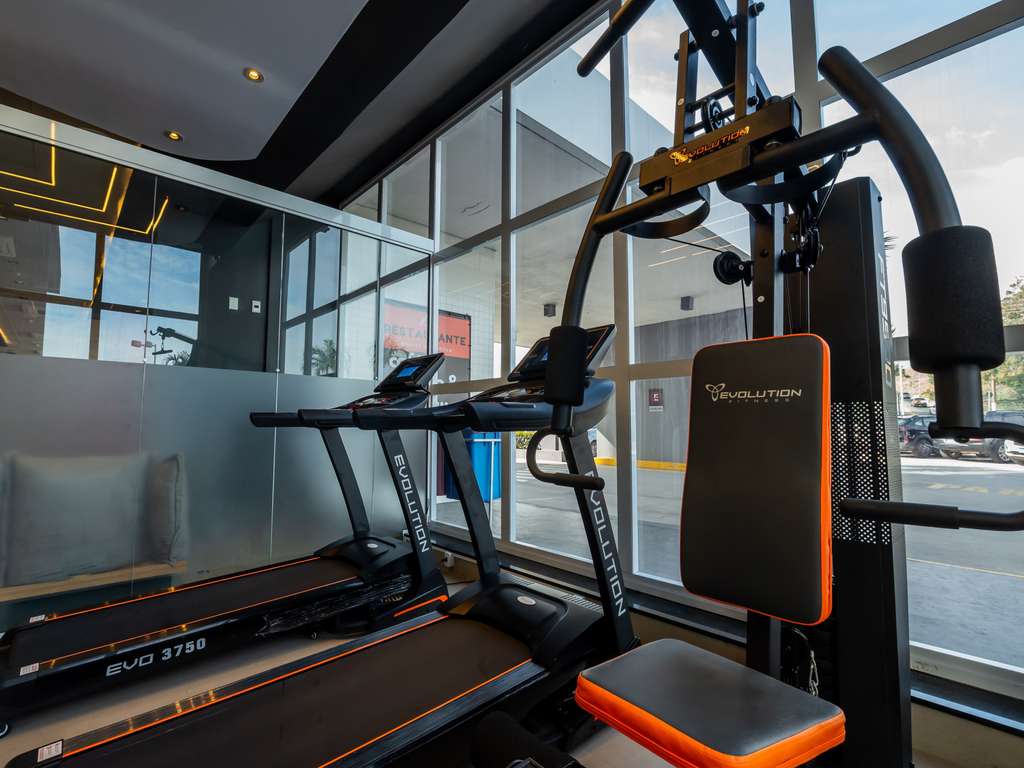 Images ibis Guaratingueta Aparecida