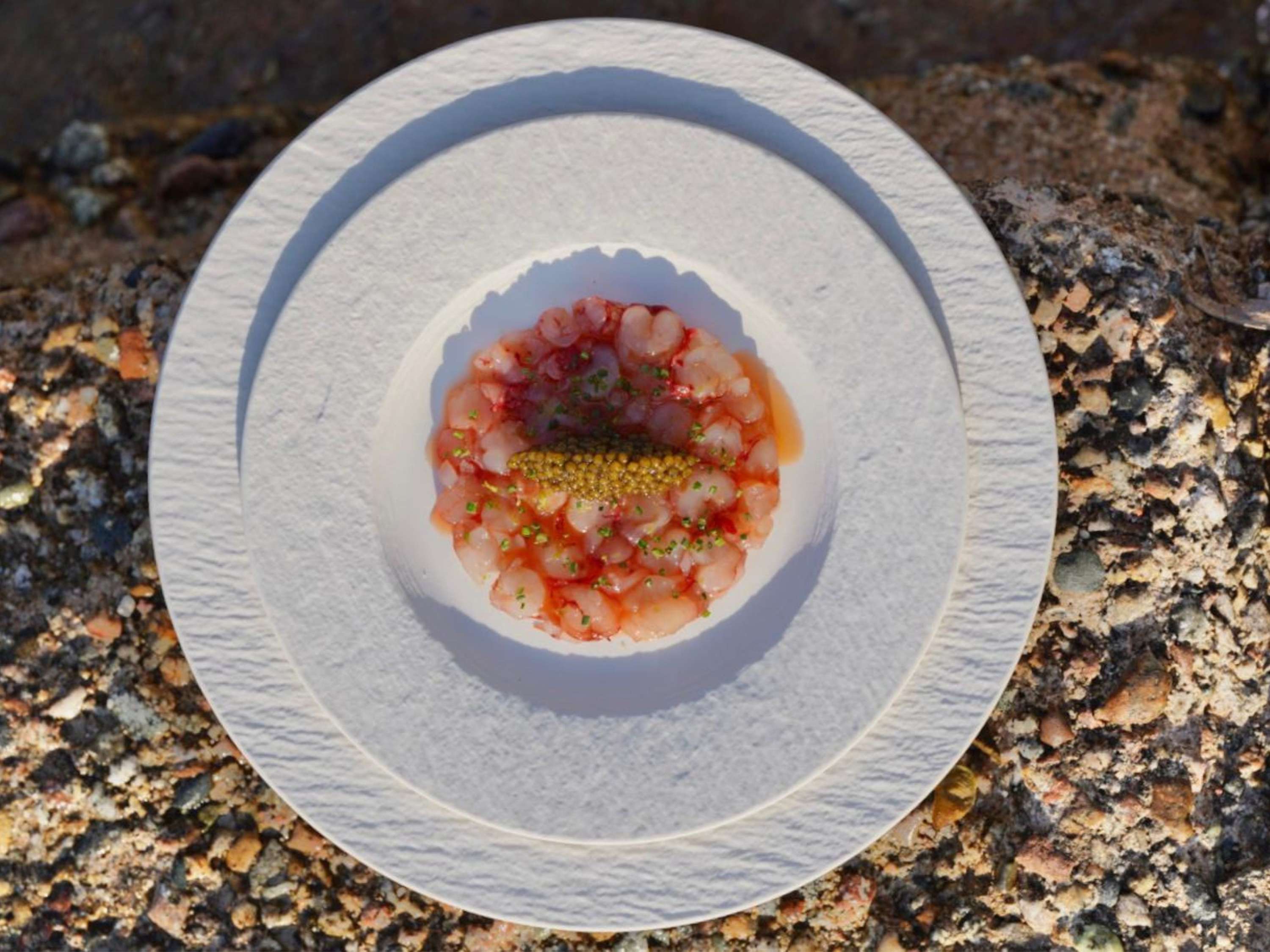 Une assiette raffinée mettant en valeur le savoir-faire du Chef Nicolas Sintes et l'élégance de la cuisine méditerranéenne de La Table de la Pointe.