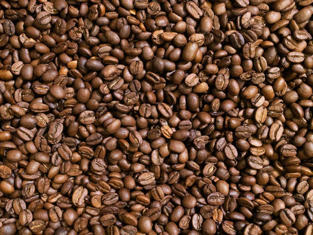 greet Hotel Potsdam am Park Sanssouci, Forststrasse 80 in Potsdam