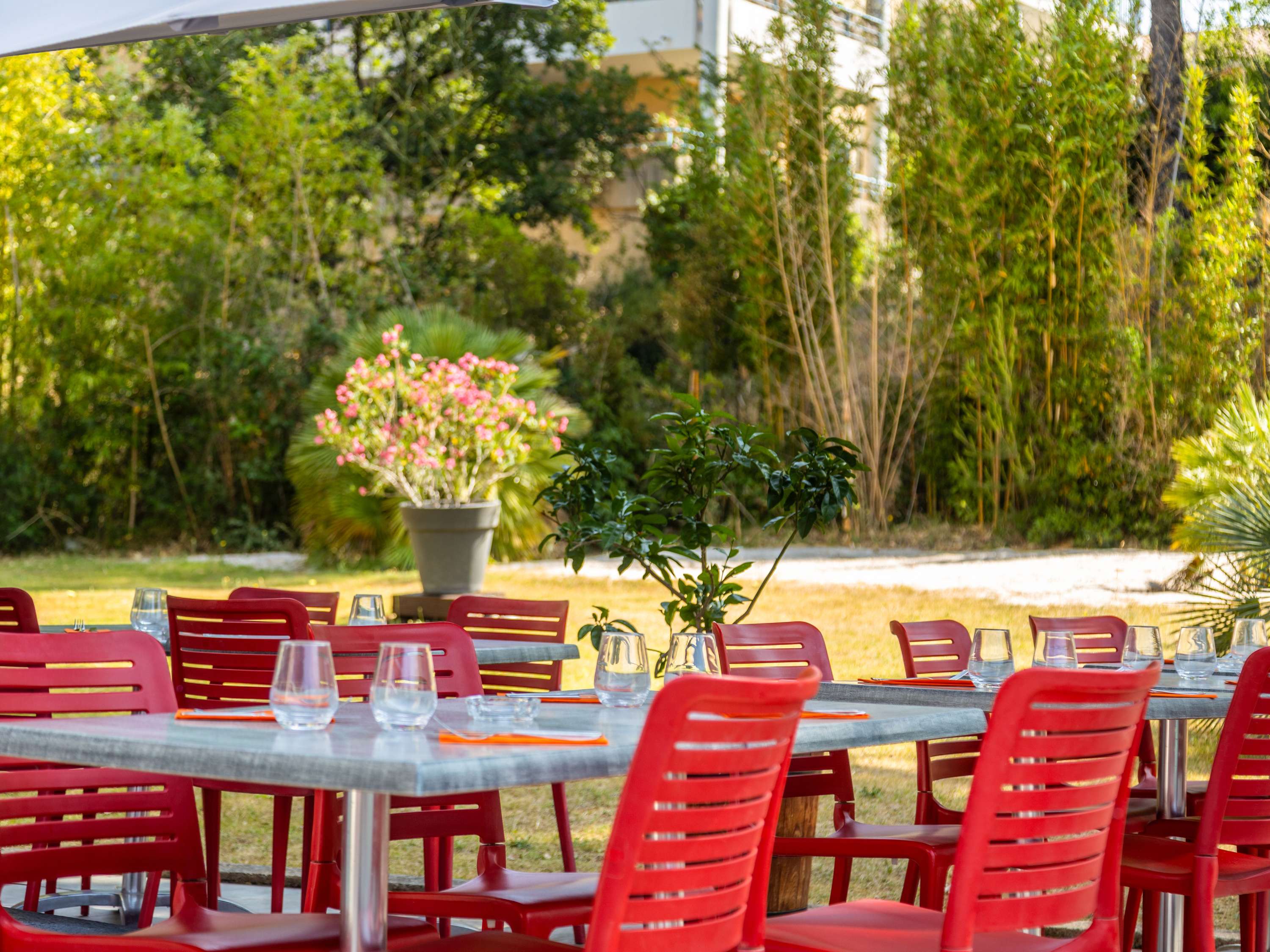 Images LA TABLE DE L ARBOIS