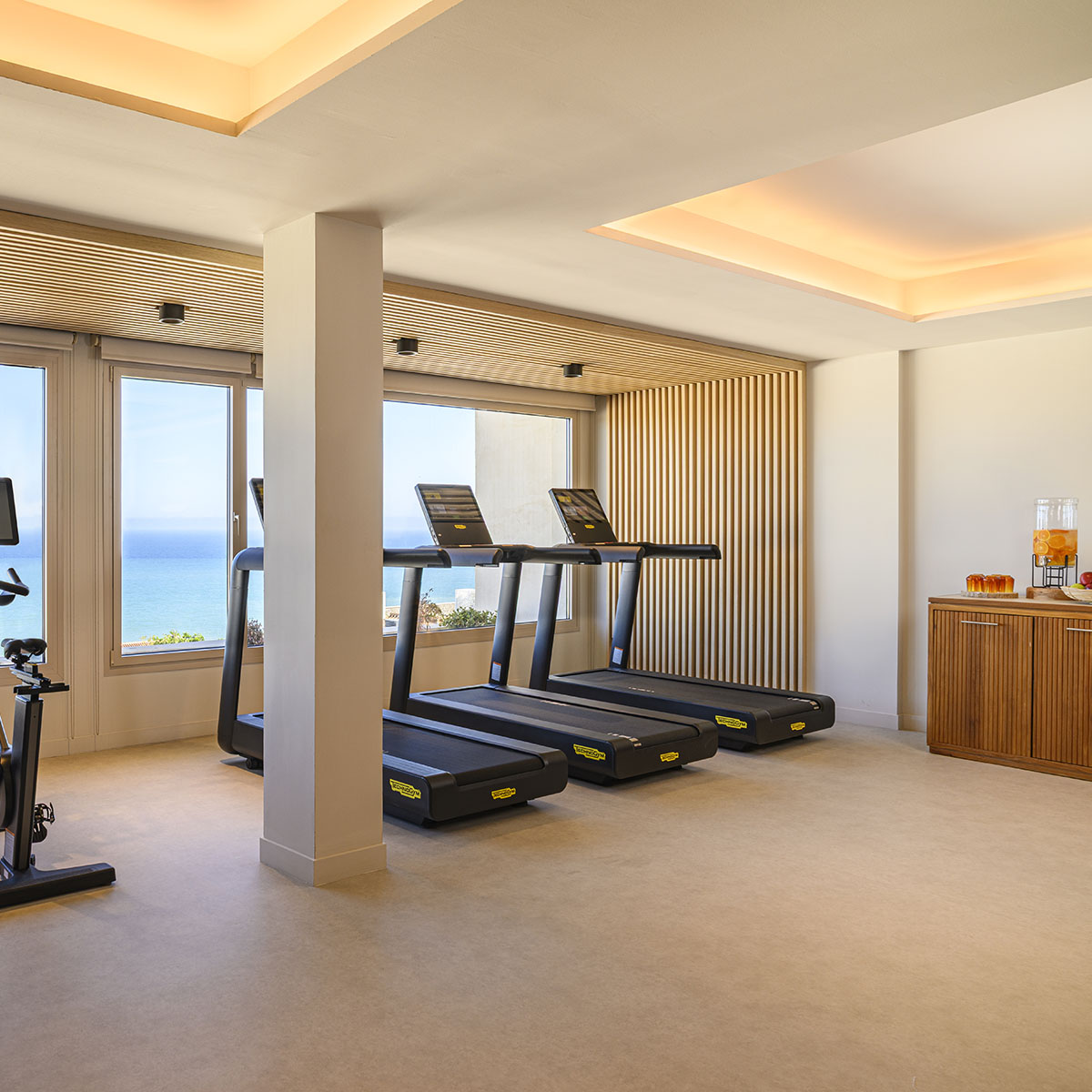 Galería de imágenes