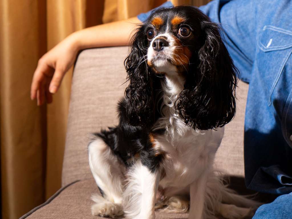 Sofitel Philadelphia at Rittenhouse Square Image