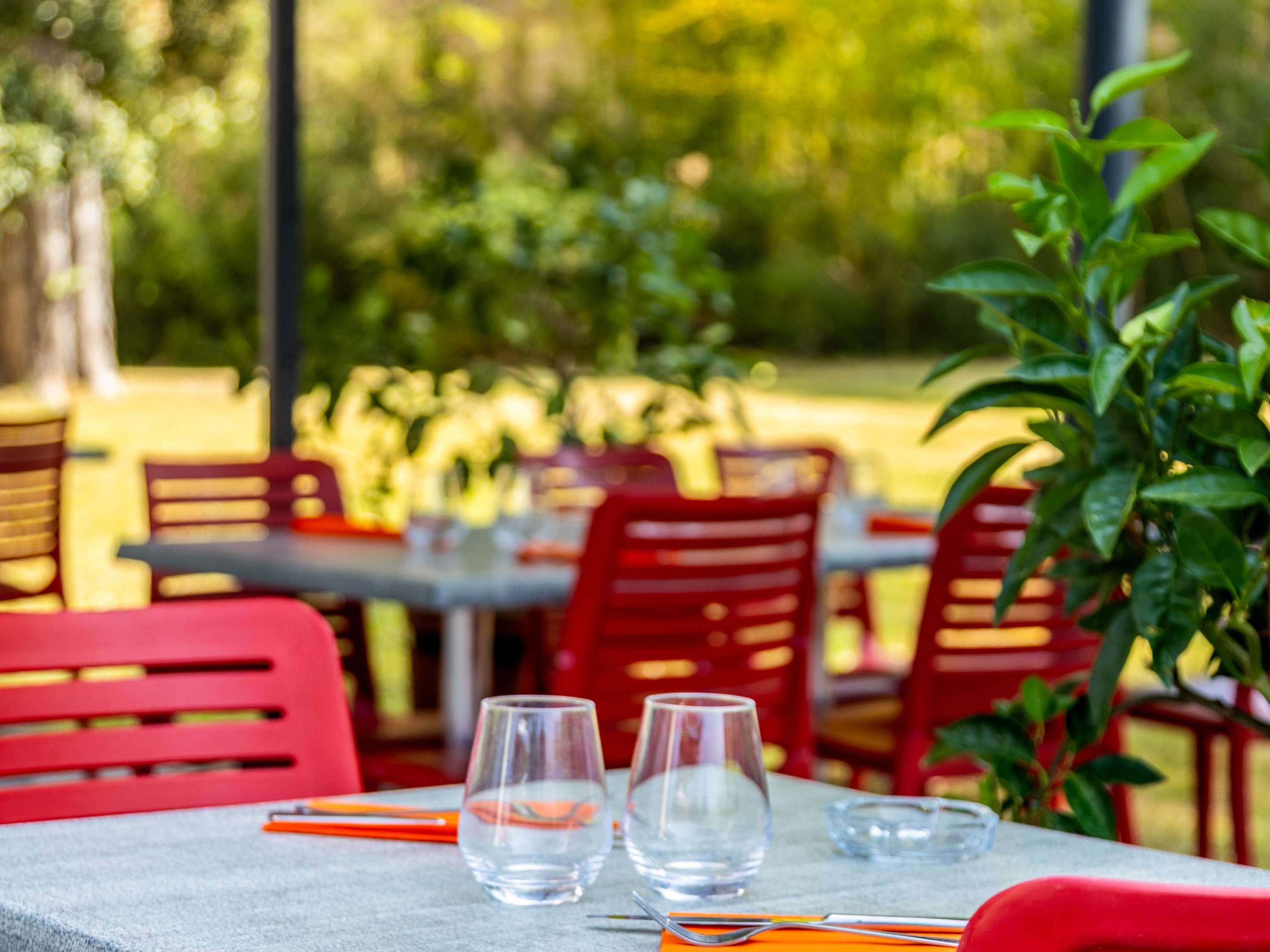 Images LA TABLE DE L ARBOIS