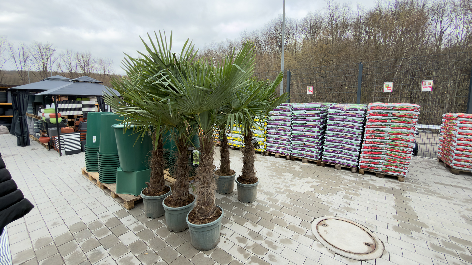 Thomas Philipps Neunkirchen (Saar), Redener Straße 50 in Neunkirchen