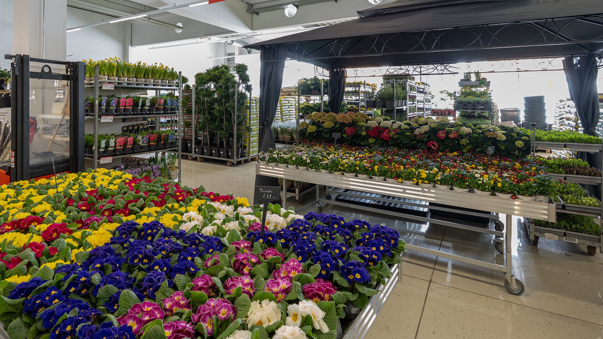 Thomas Philipps Wiener Neustadt, Wiener Straße 93 in Wiener Neustadt