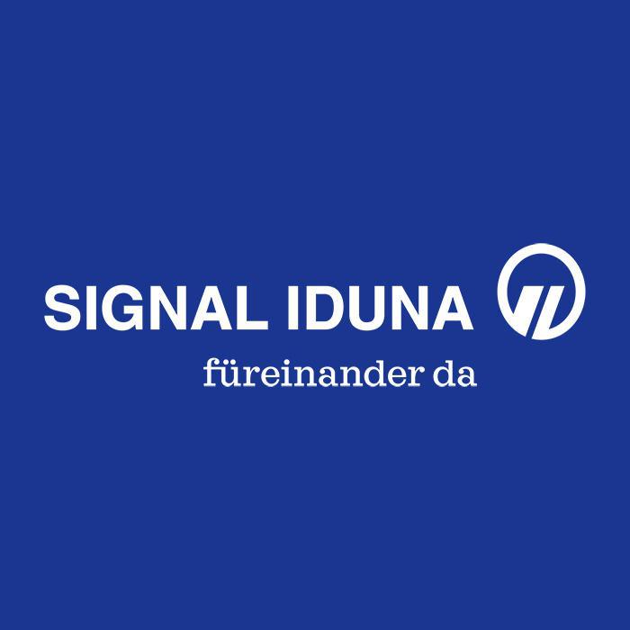 SIGNAL IDUNA Versicherung Ilias Kaichouh in Hochheim am Main - Logo