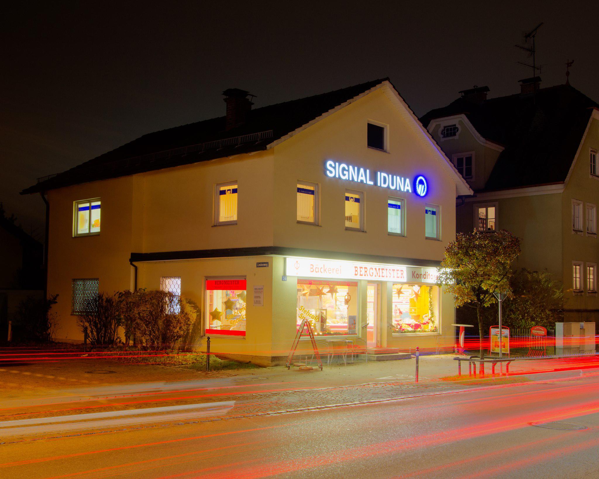 SIGNAL IDUNA Versicherung Alexander Hotter in Stephanskirchen am Simssee - Logo