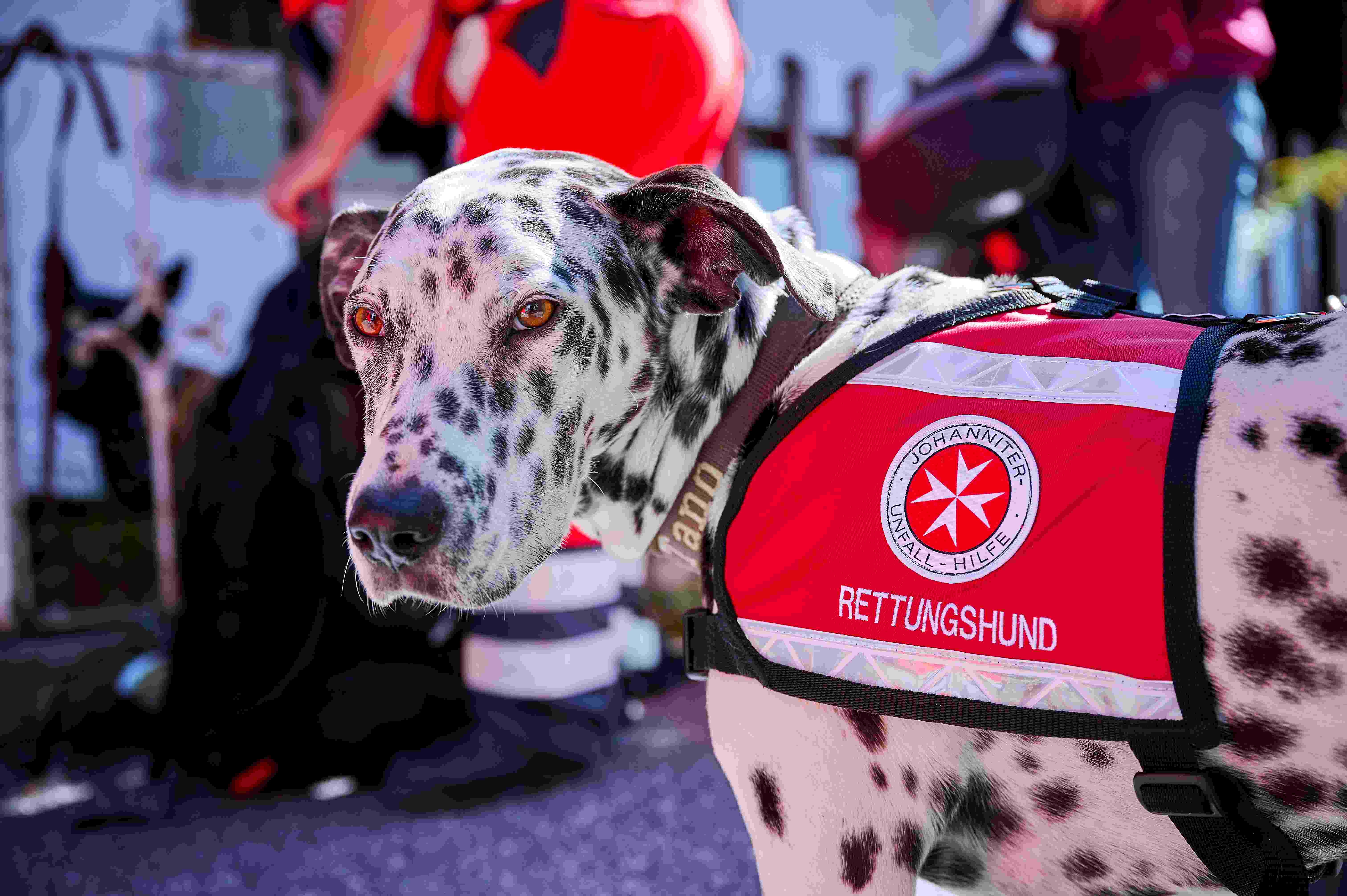 Bilder Johanniter Österreich