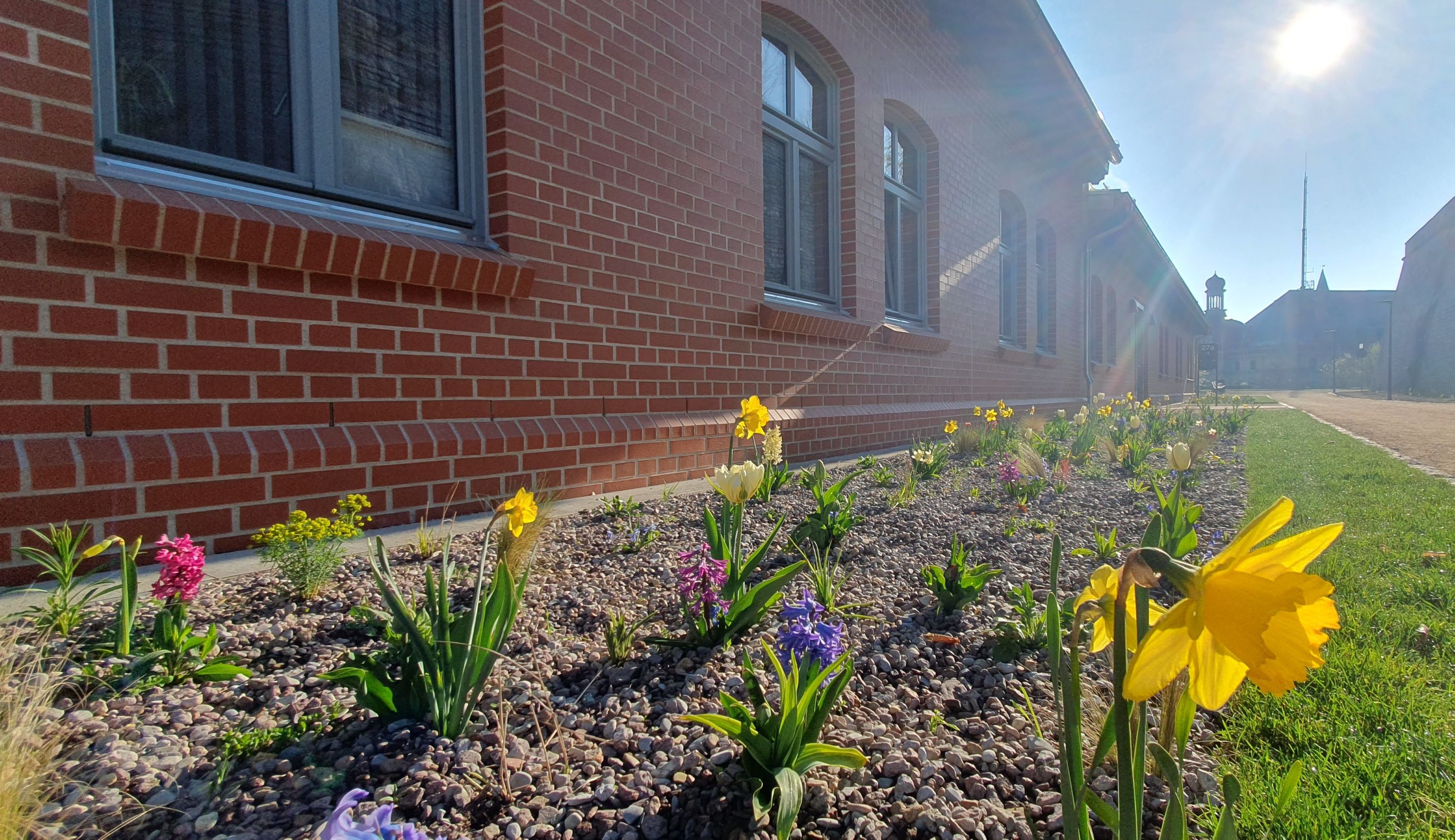 Bild 3 Regionalgeschäftsstelle Erfurt, Johanniter-Unfall-Hilfe e.V. in Erfurt