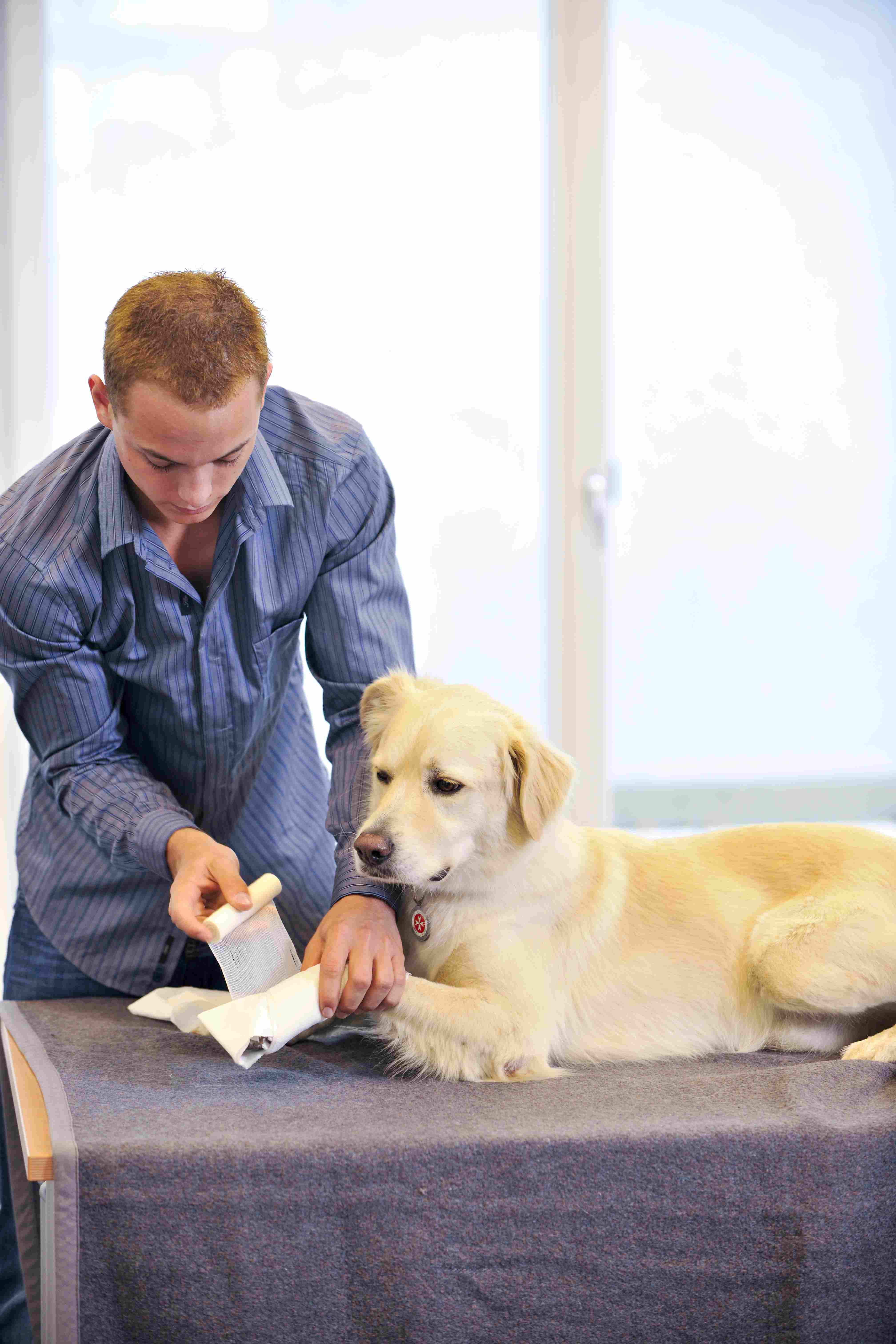 Bild 5 von Johanniter Bildung Floridsdorf